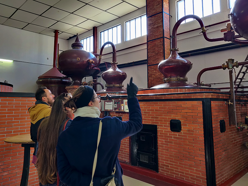 Visiter les distilleries de Cognac