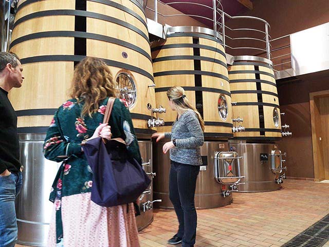 Visit Bordeaux wineries