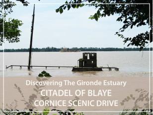 Half day guided tour : Citadel of Blaye and the Gironde cornice