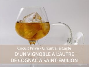 Circuit Privé : Vignobles de Cognac avec transfert vers Saint Emilion