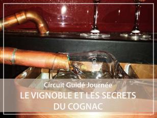 Circuit guidé journée : vignobles de Cognac