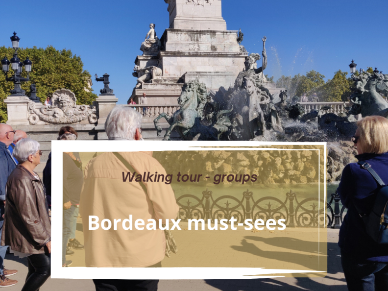 Guided Walking Tour : Bordeaux must sees