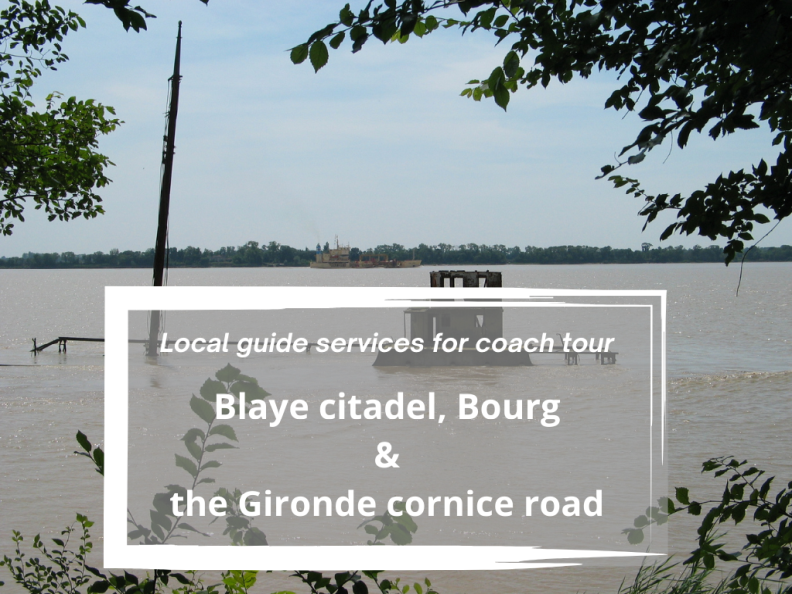 Full day guided tour : Blaye citadel, the Gironde cornice and Bourg old village