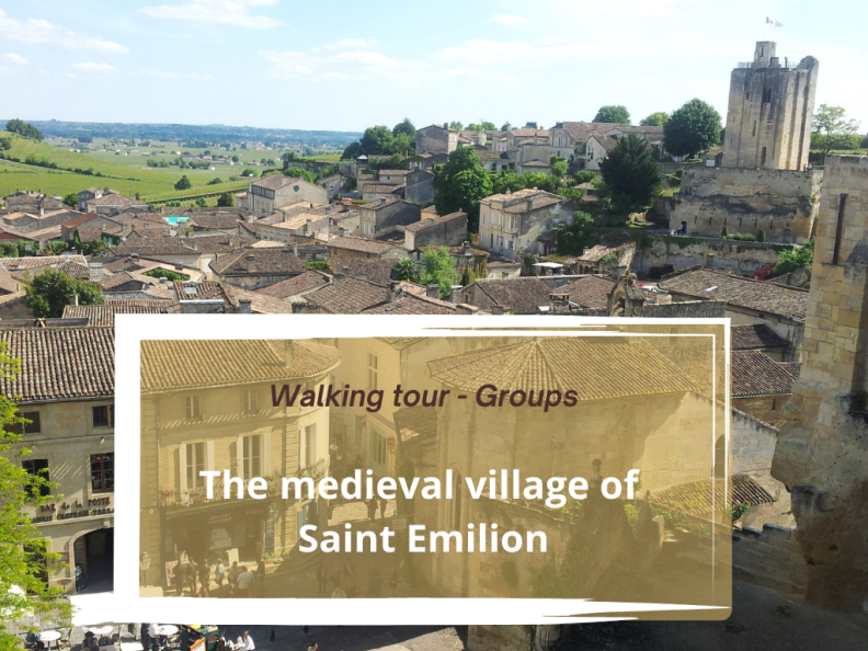 Guided walking Tour  : Saint-Emilion, medieval village
