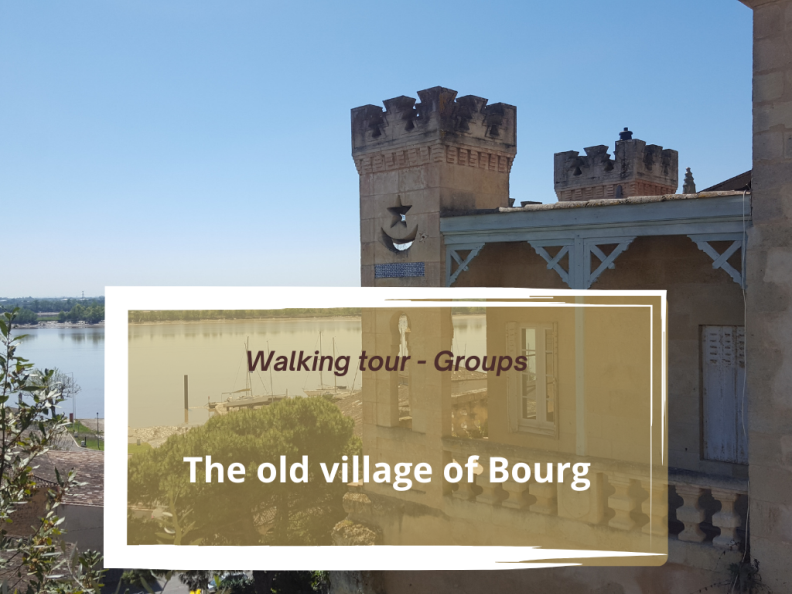 Guided walking tour : old village of Bourg-Sur-Gironde