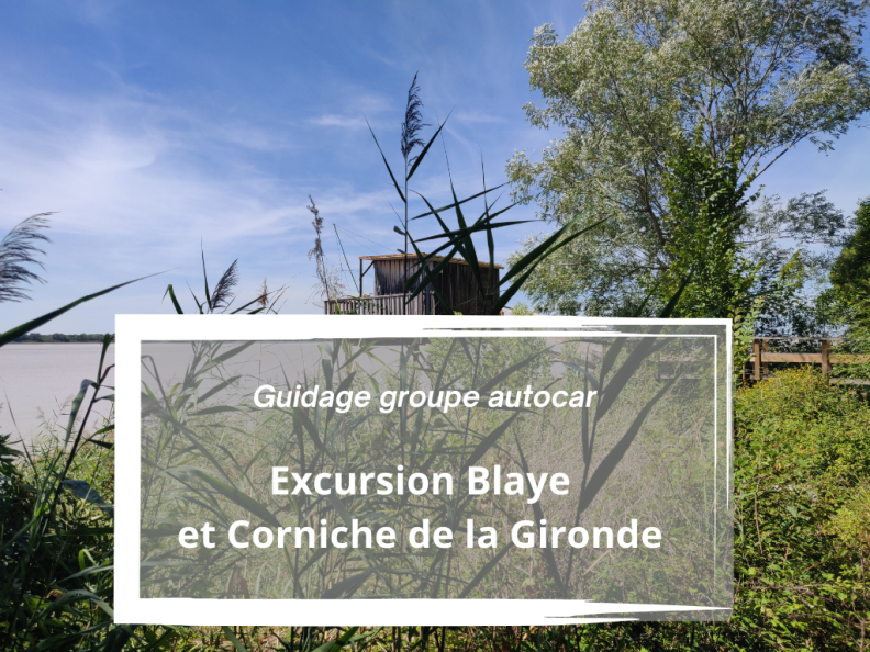 Circuit Guidé demi-journée : Citadelle de Blaye et Corniche de la Gironde